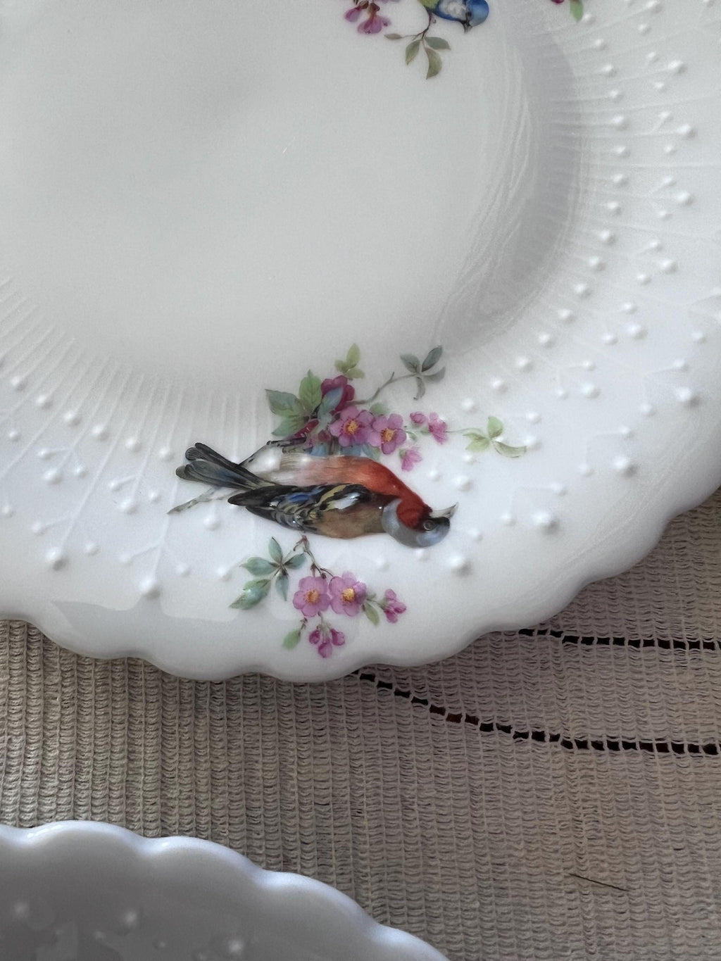 Set of 14 Georges Boyer Limoges Bird Plates | French Porcelaine Dure Dessert Set