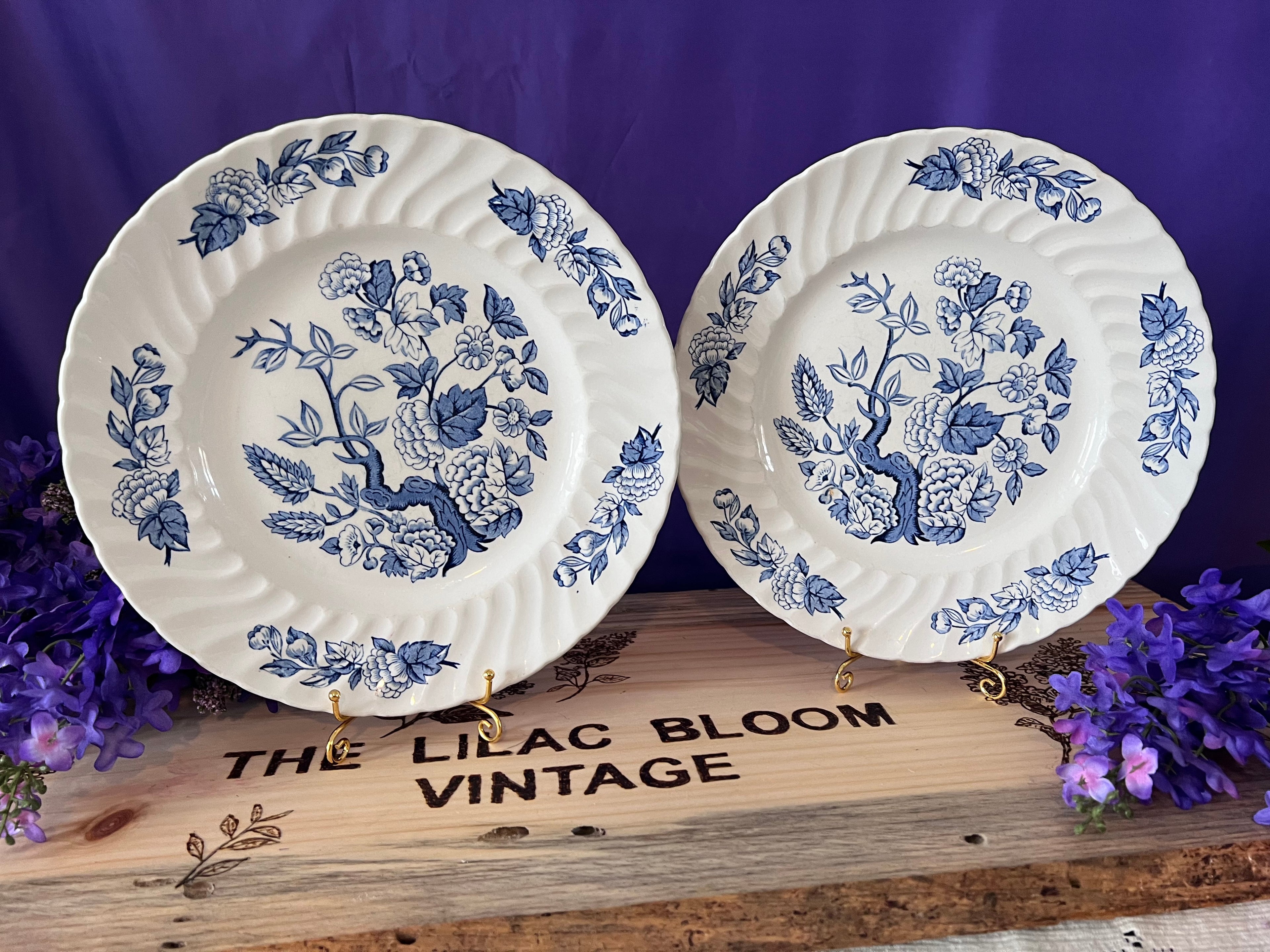 Royal Wessex by Swinnertons - Indian Tree Blue Dinner Plates (Set of 2)