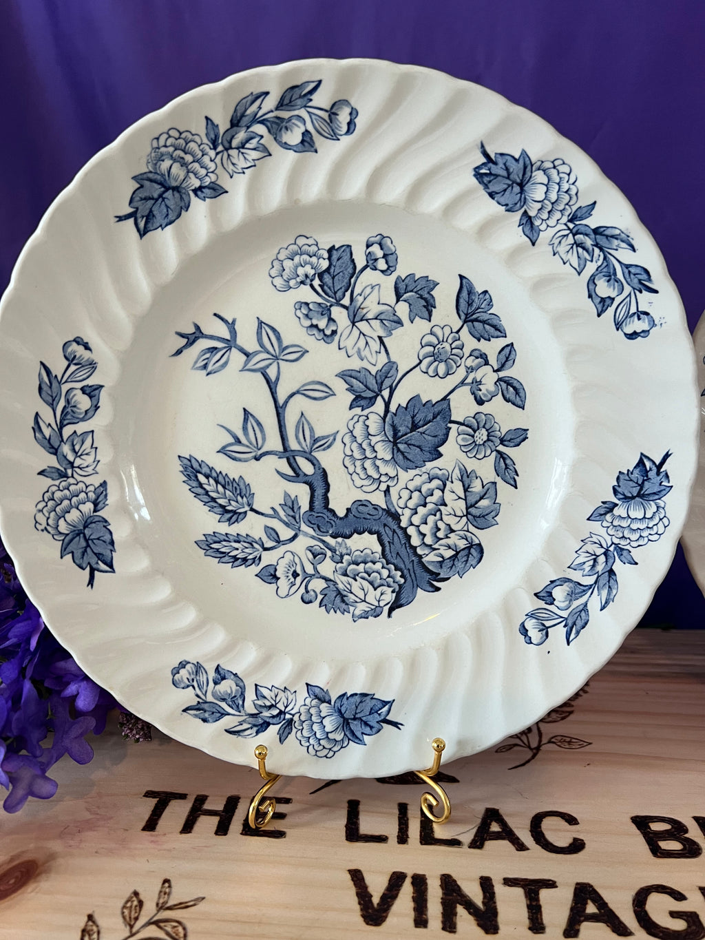 Royal Wessex by Swinnertons - Indian Tree Blue Dinner Plates (Set of 2)