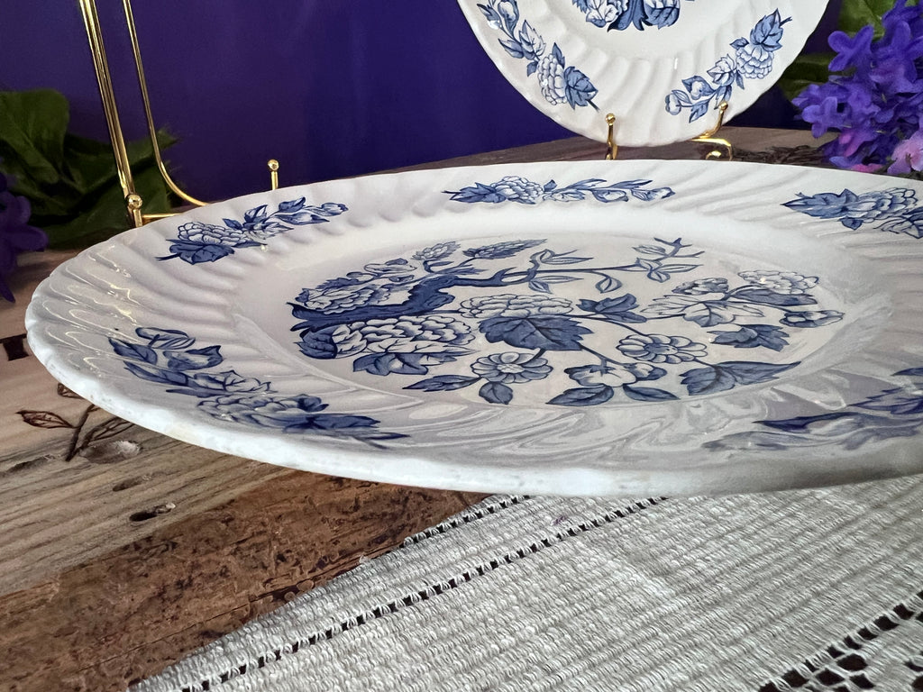 Royal Wessex by Swinnertons - Indian Tree Blue Dinner Plates (Set of 2)
