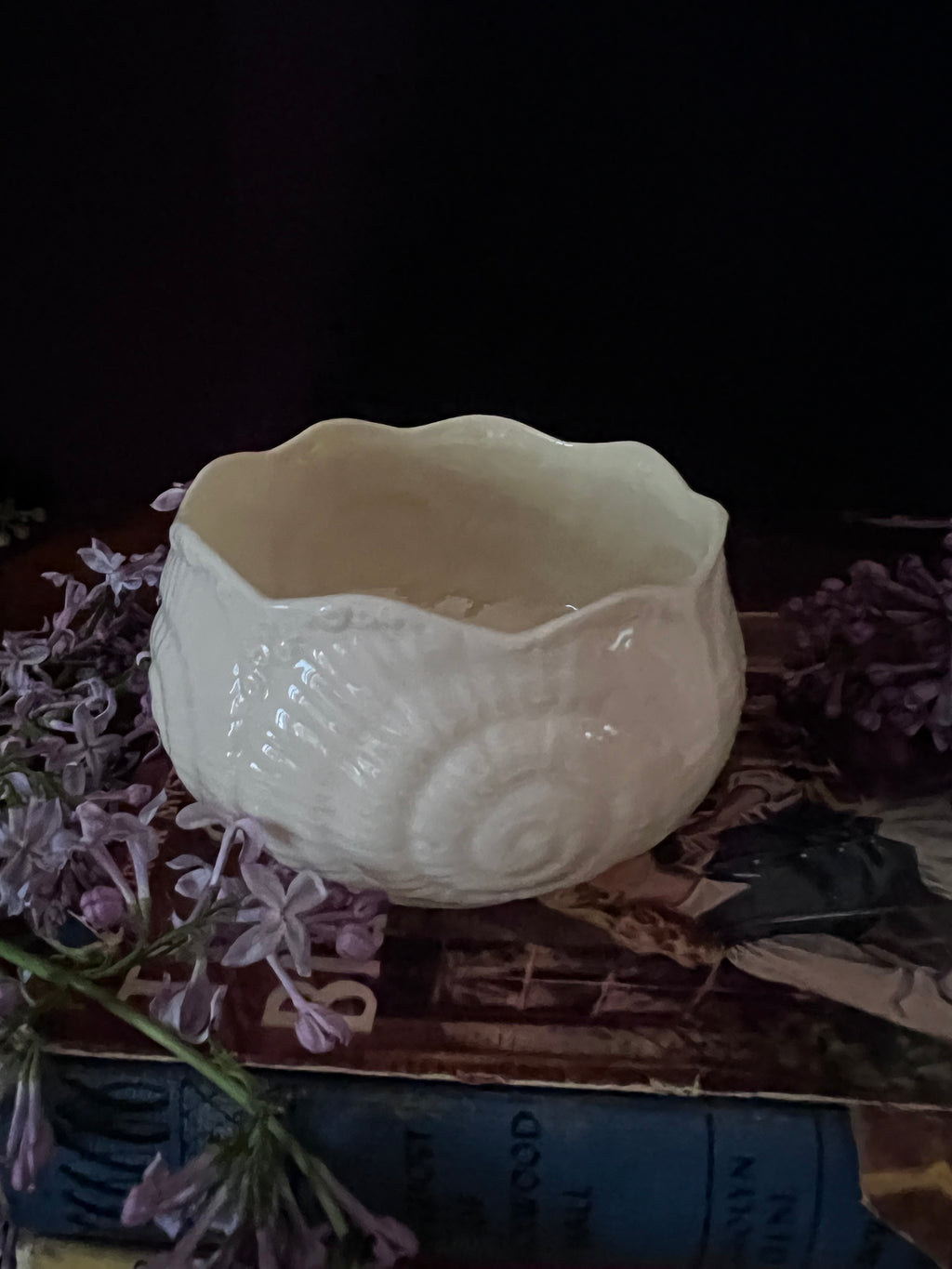Belleek Ireland Neptune Shell Creamer and Sugar Bowl Set - Tridacna Pattern Parian China