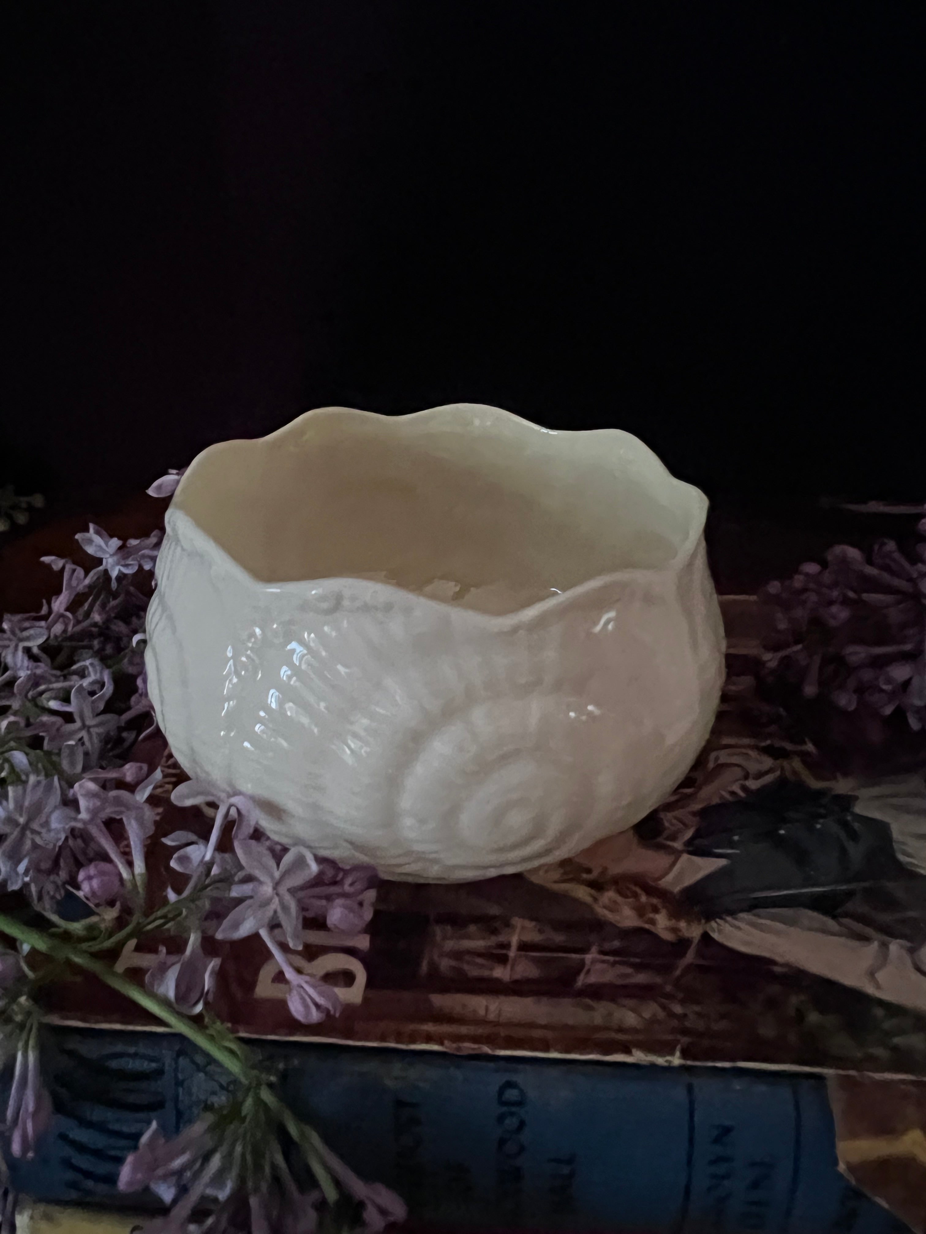 Belleek Ireland Neptune Shell Creamer and Sugar Bowl Set - Tridacna Pattern Parian China