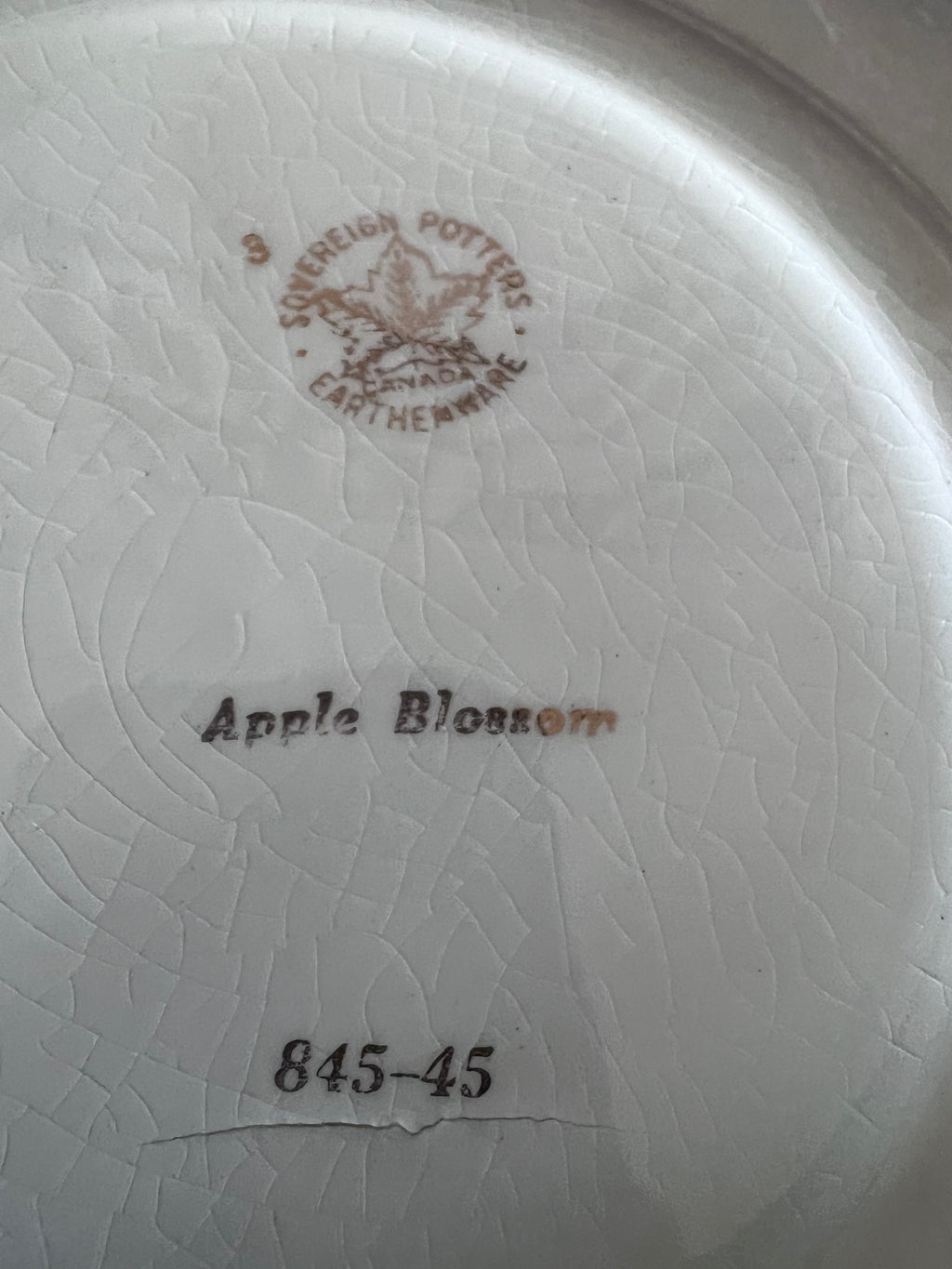 Vintage Sovereign Potters Apple Blossom Plates - Set of 10 Salad & 10 Bread Plates, Mid-Century Canadian Earthenware, Grandmillennial Tea Party