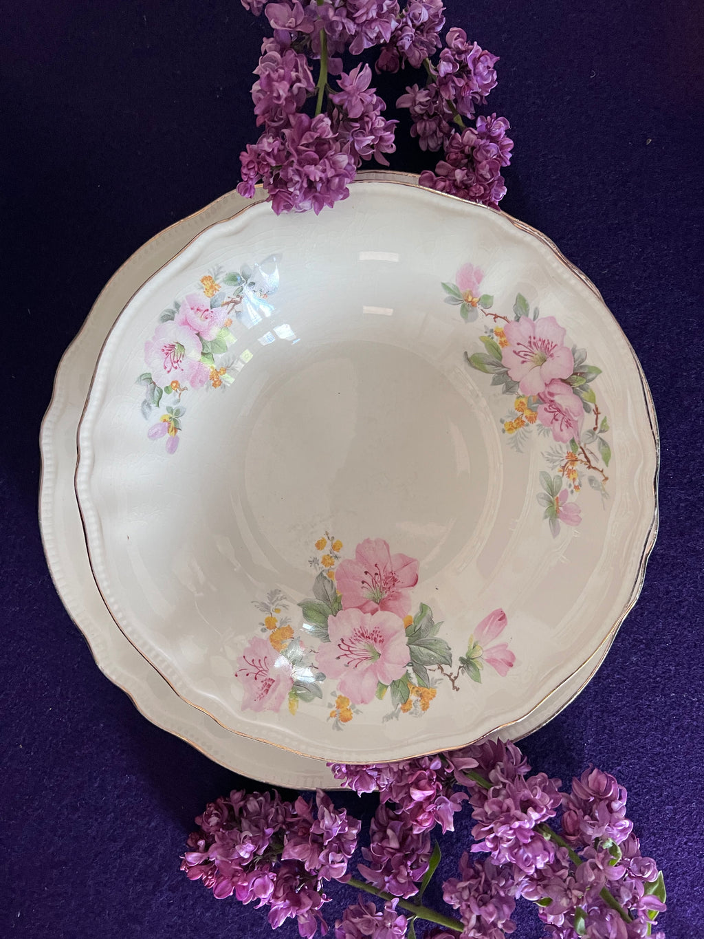 Vintage Sovereign Potters Apple Blossom Soup & Sandwich Set - Service for 4, Dinner Plates & Rimmed Soup Bowls, Canadian Earthenware