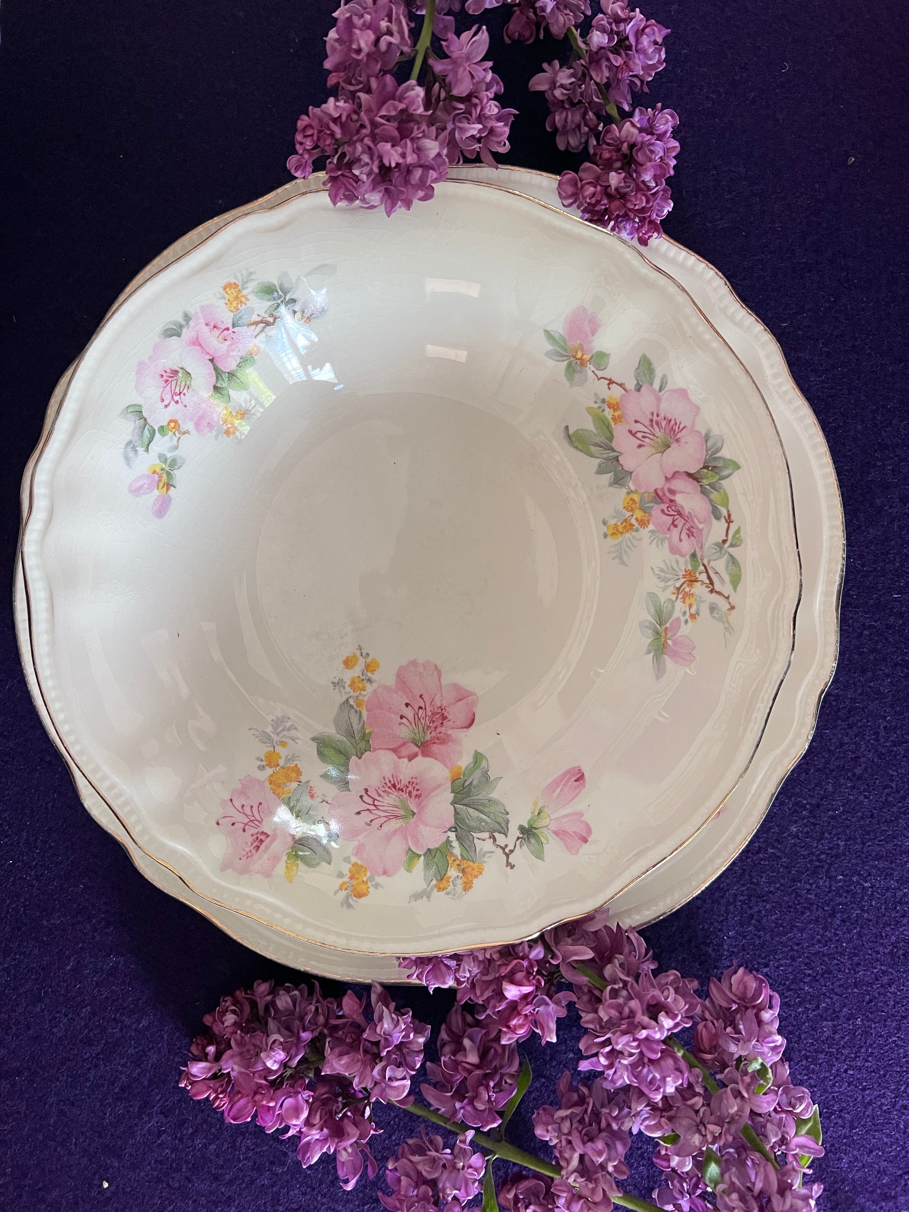 Vintage Sovereign Potters Apple Blossom Lunch Set - Service for 4, Dinner Plates & Soup Bowls, Mid-Century Cottagecore Ironstone