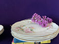 Vintage Sovereign Potters Apple Blossom Soup & Sandwich Set - Service for 4, Dinner Plates & Rimmed Soup Bowls, Canadian Earthenware