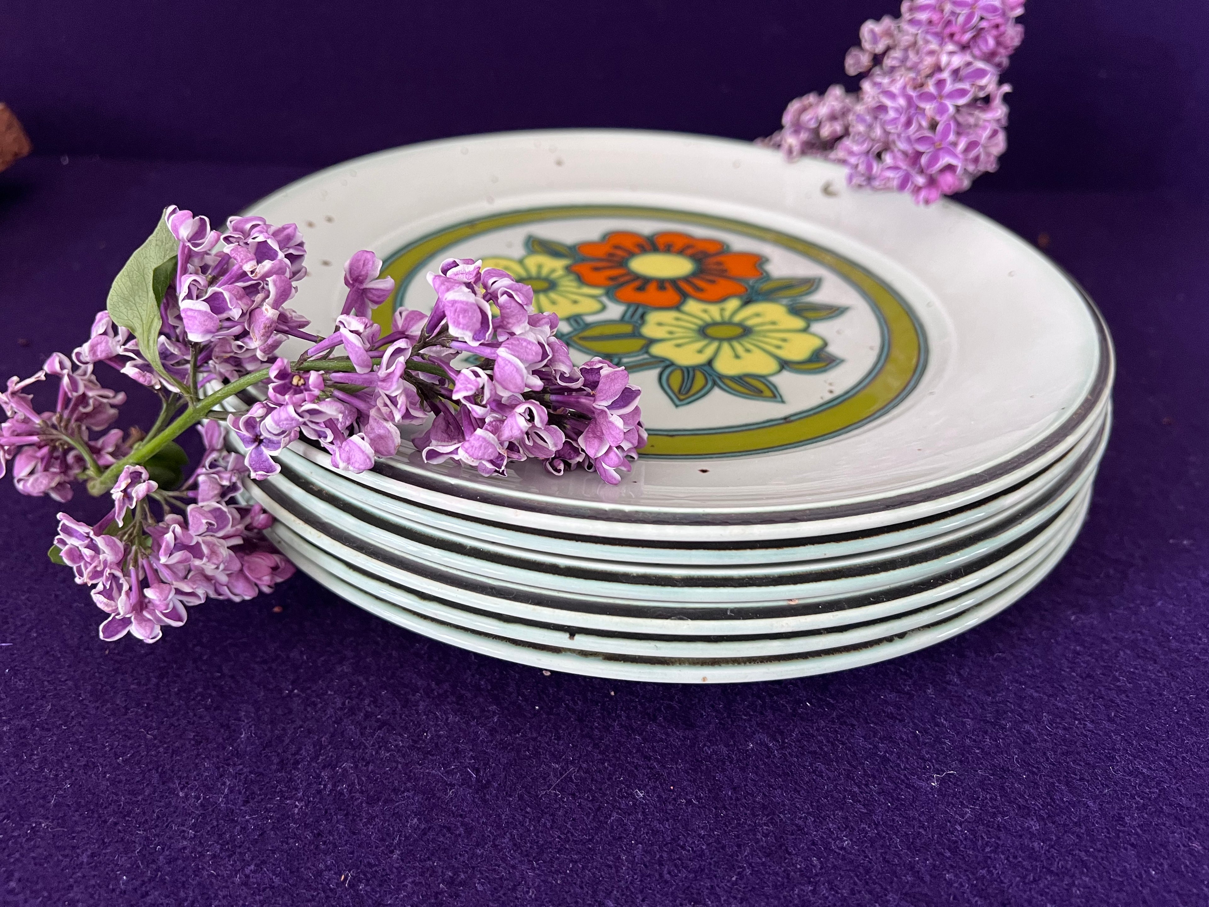 Vintage Johnson Brothers Ironstone Dinner Plates - Cadogan Gardens, Chelsea Collection - Set of 6 - Made in England 1970s Retro Floral Boho