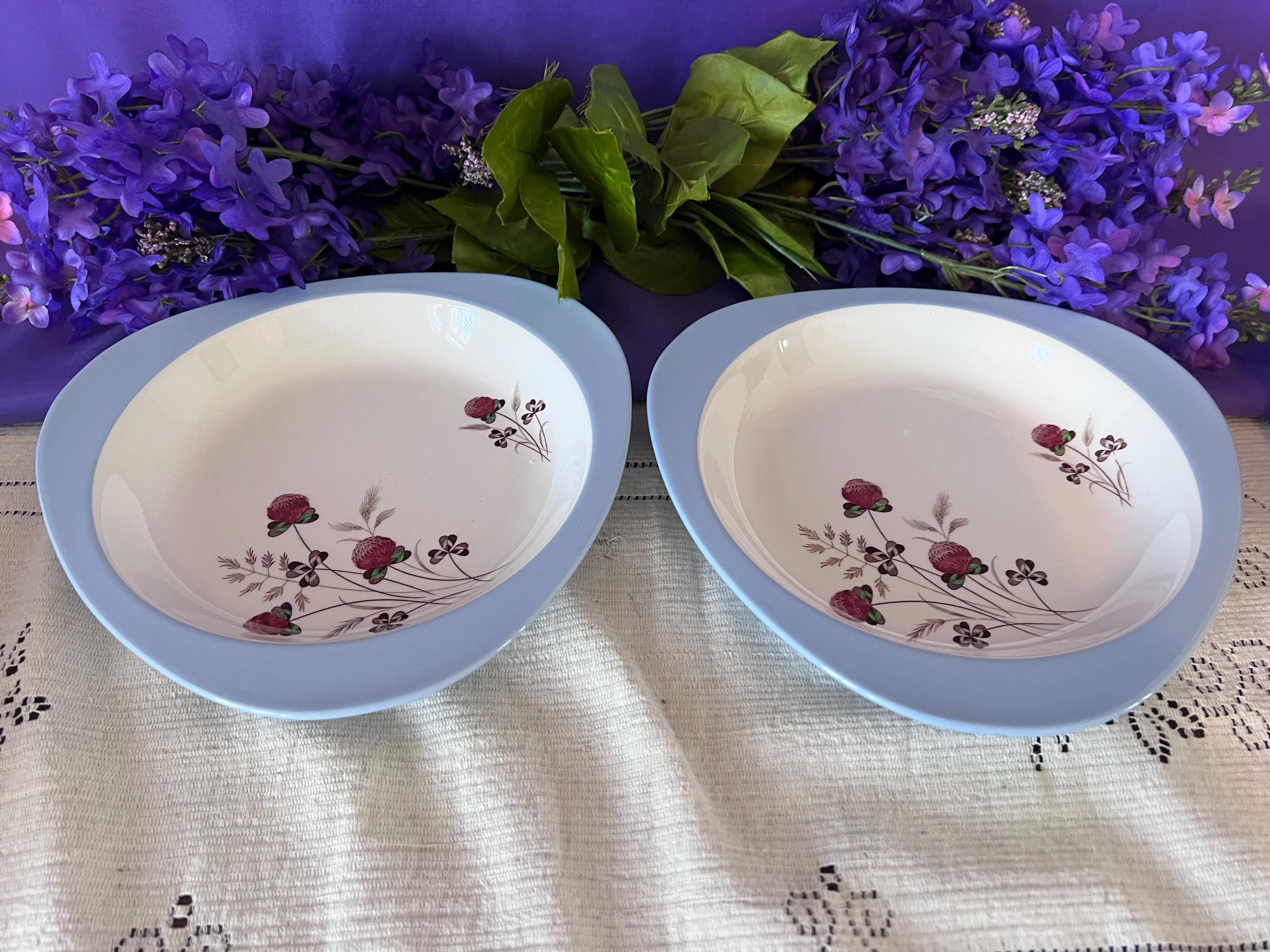 Vintage Spode Summer Days Dinnerware – Build Your Set – Pristine S3304 Red Clover and Blue Rim Replacements – Sets of 2