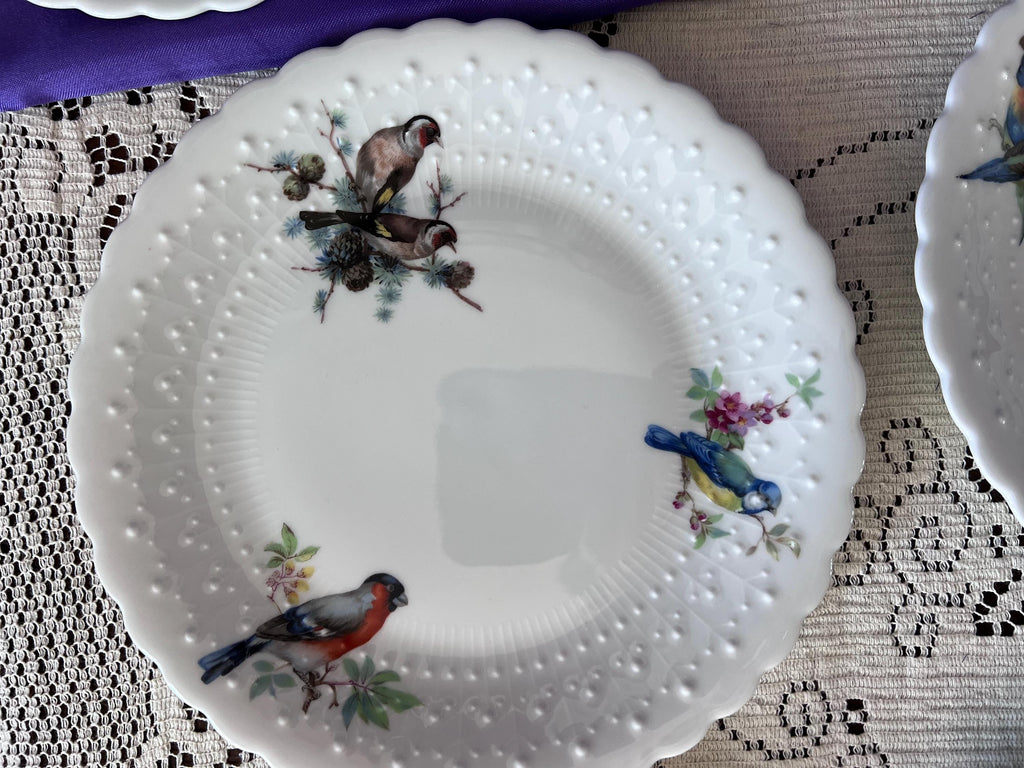 Set of 14 Georges Boyer Limoges Bird Plates | French Porcelaine Dure Dessert Set