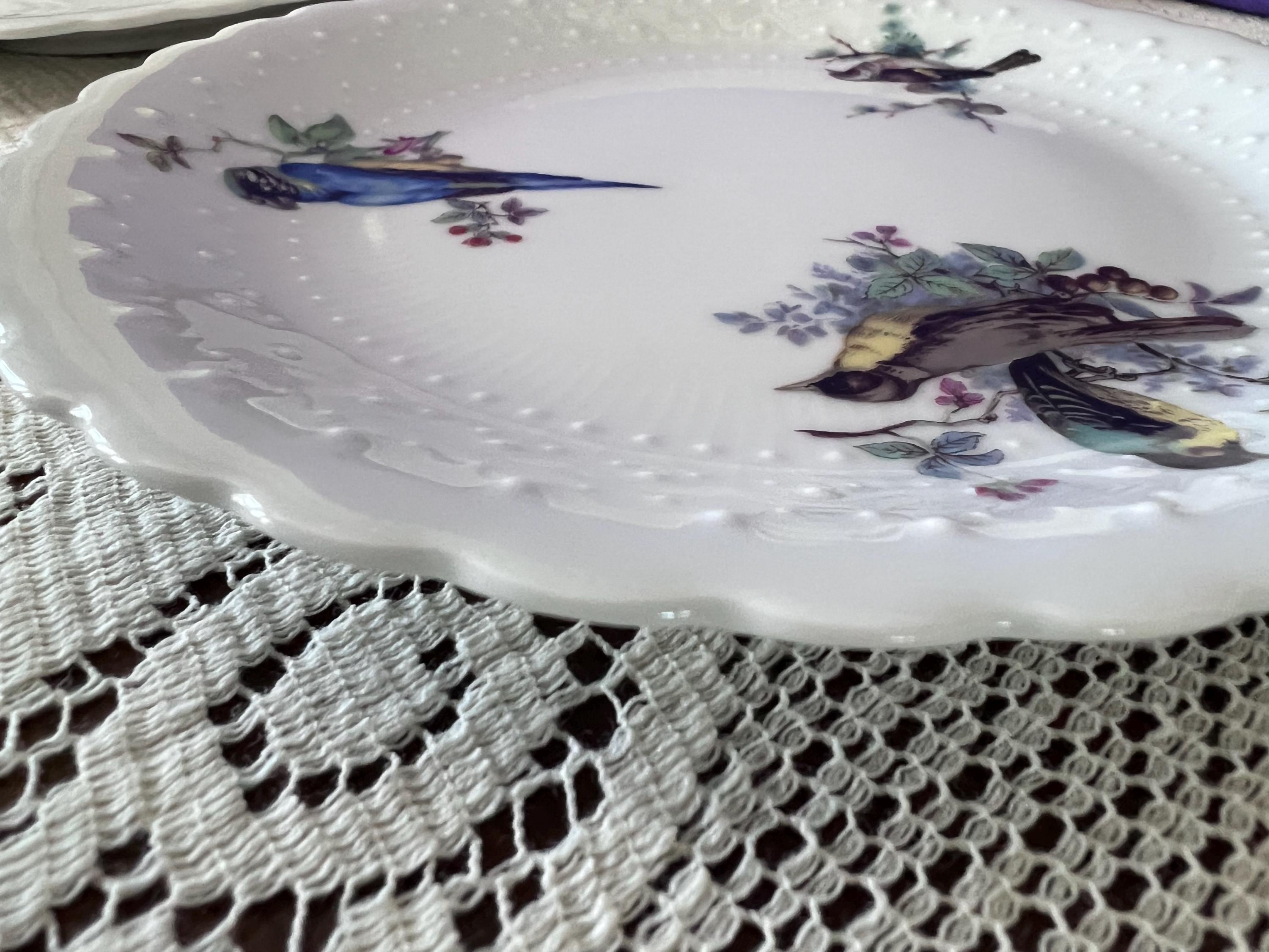 Set of 14 Georges Boyer Limoges Bird Plates | French Porcelaine Dure Dessert Set