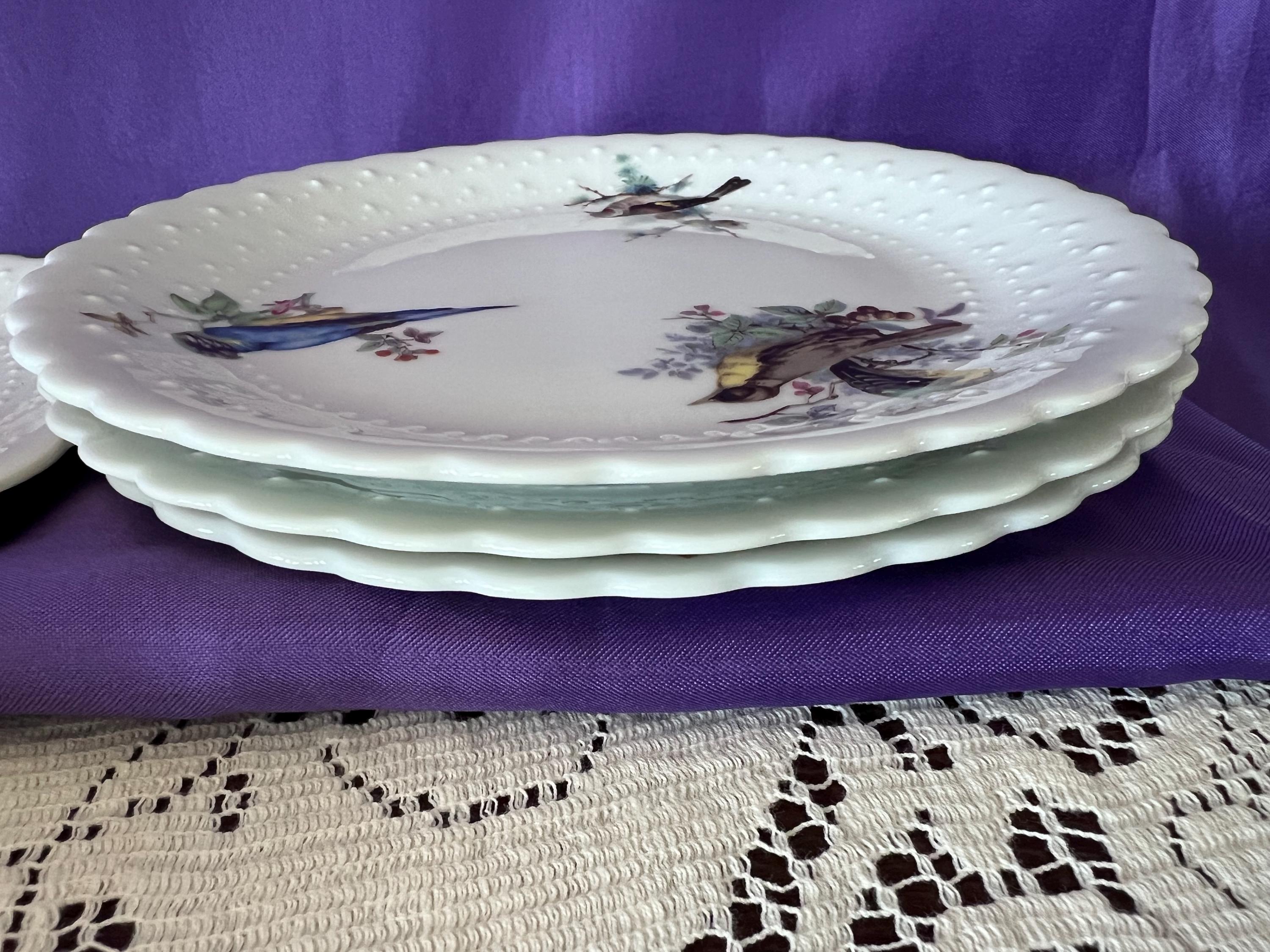 Set of 14 Georges Boyer Limoges Bird Plates | French Porcelaine Dure Dessert Set