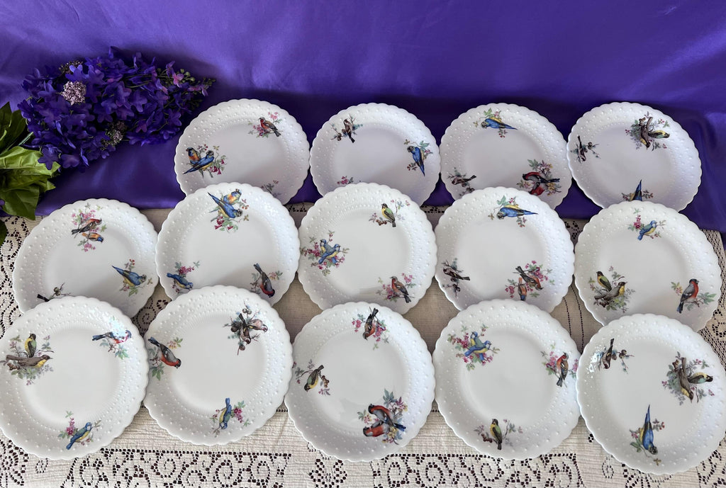 Set of 14 Georges Boyer Limoges Bird Plates | French Porcelaine Dure Dessert Set