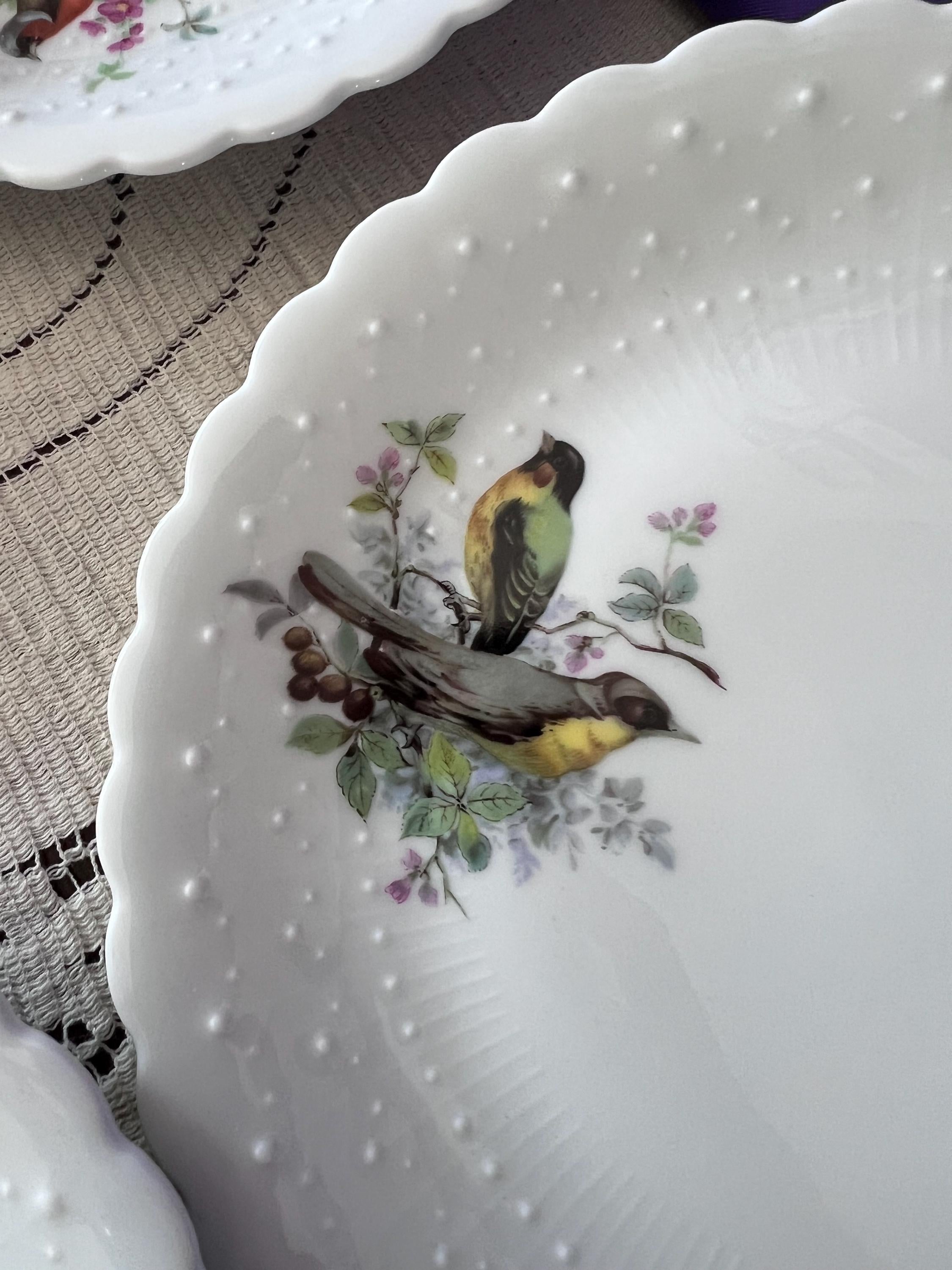 Set of 14 Georges Boyer Limoges Bird Plates | French Porcelaine Dure Dessert Set
