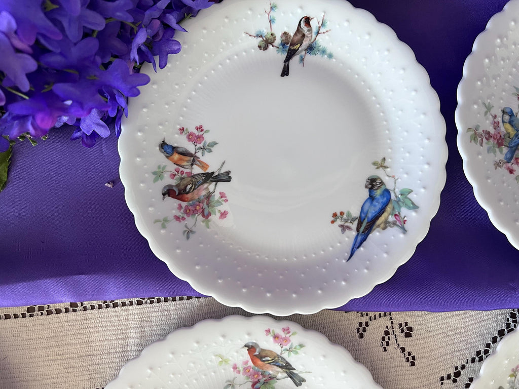 Set of 14 Georges Boyer Limoges Bird Plates | French Porcelaine Dure Dessert Set